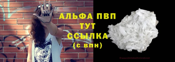 прущий лед Карпинск