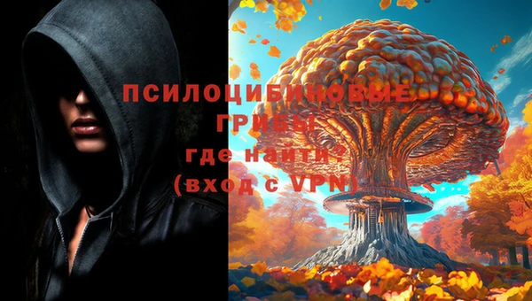 соль ск Карталы