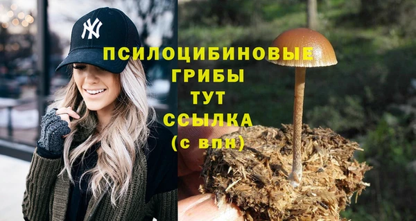 соль ск Карталы