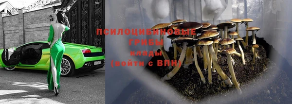 прущая мука Касимов